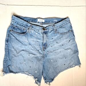 Big Star Farrah High-Rise Denim Shorts